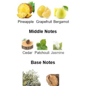 Vigor Perfume - Image 3