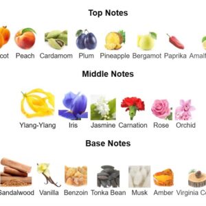 cliv perfume - Image 3