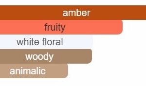 Night Amber Berry Body Splash - Image 4