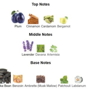 Phermo Flame Elixir perfume - Image 3