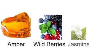 Night Amber Berry Body Splash - Image 3