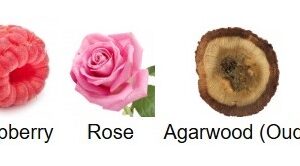 Sweet Oud Body Splash - Image 4