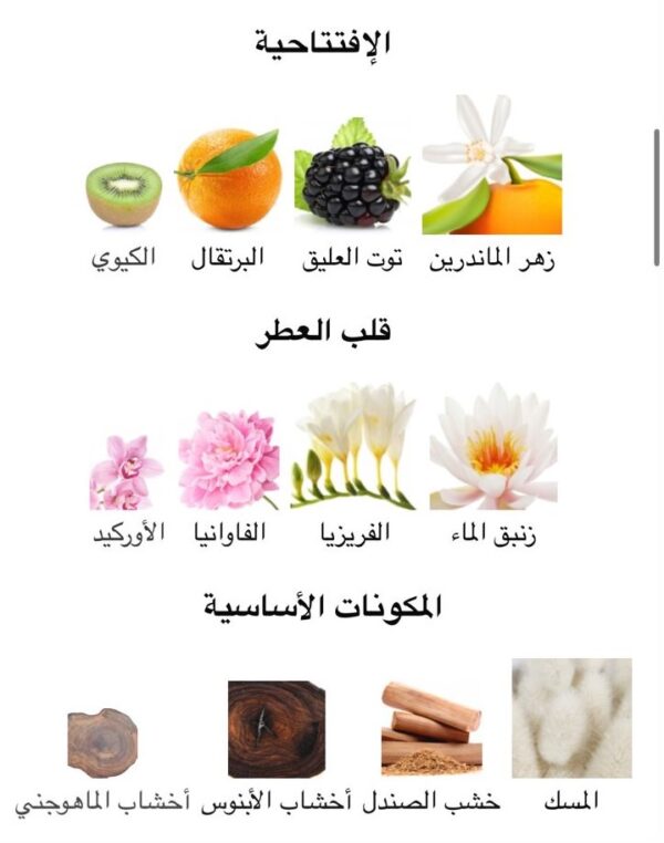 secret rose Body Splash