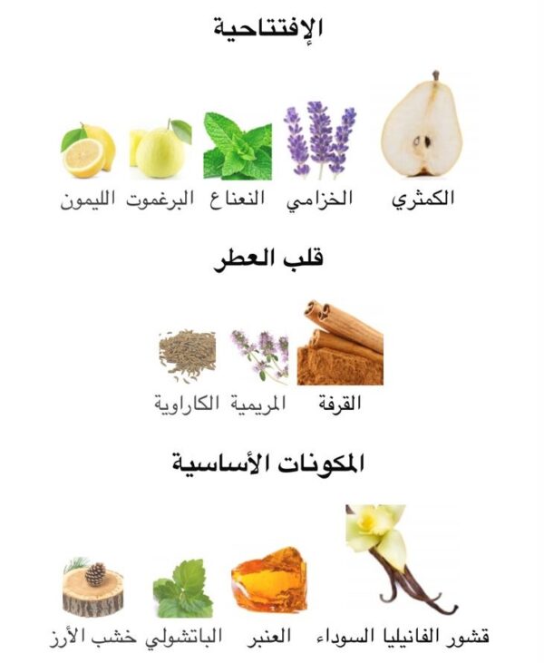 Very Sexy Man Body splash