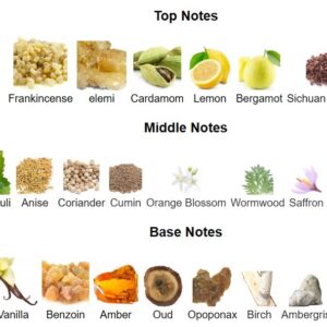 The  Nomad Perfume - Image 3