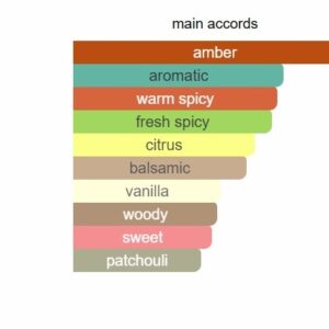 The  Nomad Perfume - Image 4