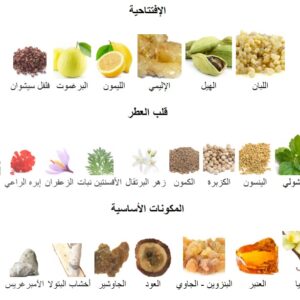 The  Nomad Perfume - Image 5