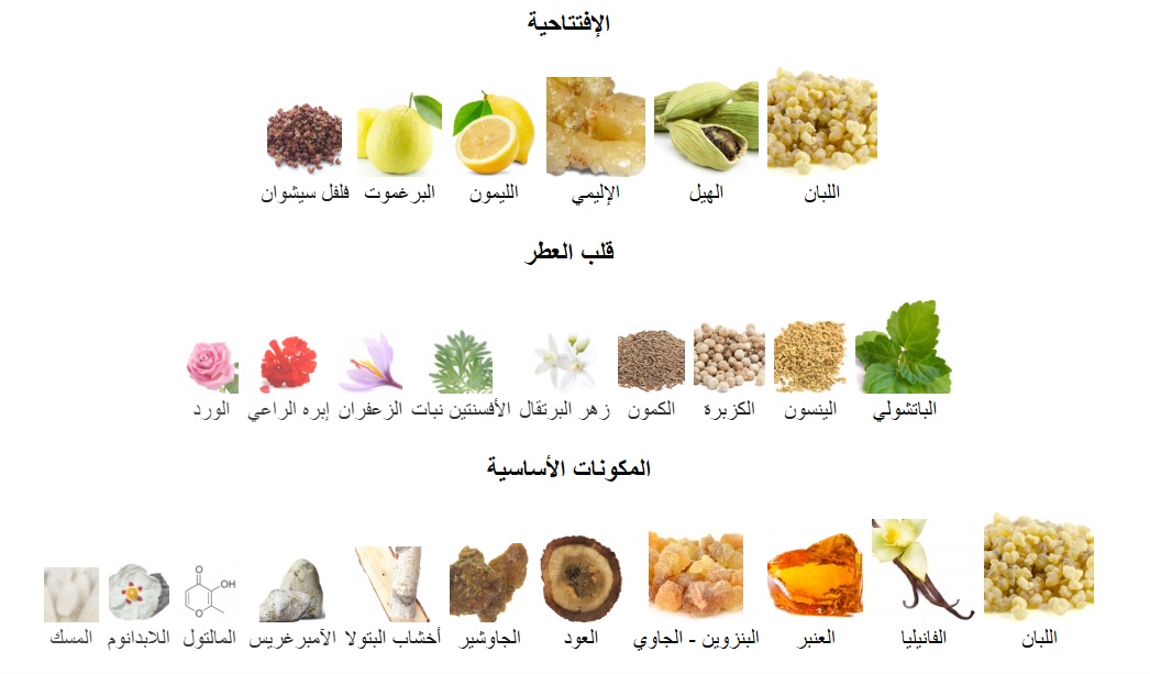 The  Nomad Perfume - Image 5