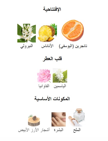 Mandarin wave Body Shimmer