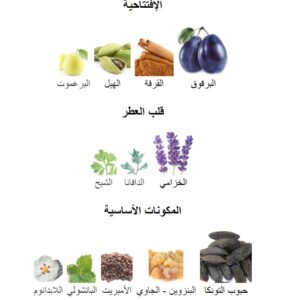 Phermo Flame Elixir perfume - Image 5