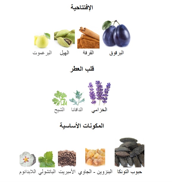 Phermo Flame Elixir perfume