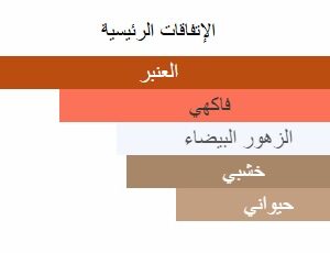 Night Amber Berry Body Splash - Image 5