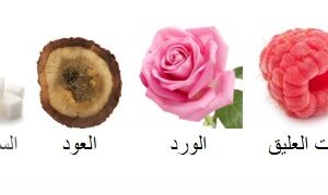 Sweet Oud Body Splash - Image 6