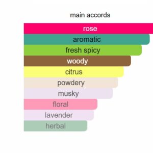 Sultan Body Spalshd - Image 4