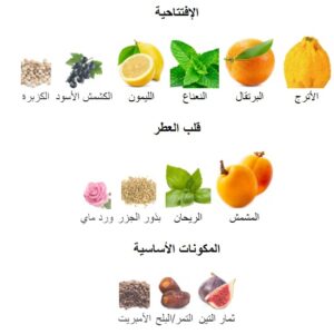 Pacific Bloom Perfume - Image 6