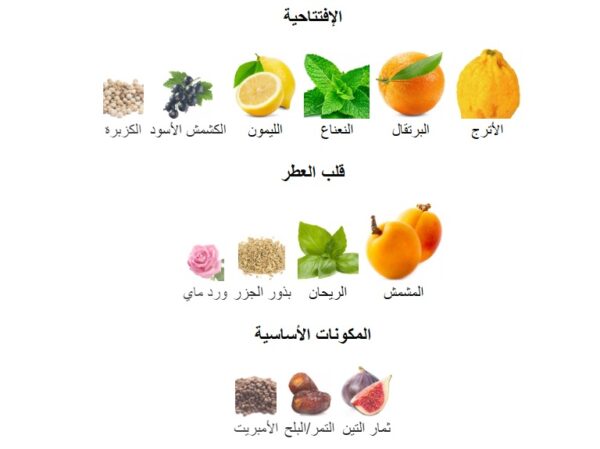 Pacific Bloom Perfume