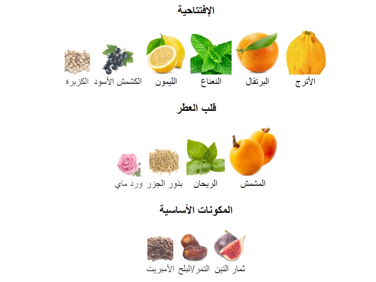 Pacific Bloom Perfume - Image 6