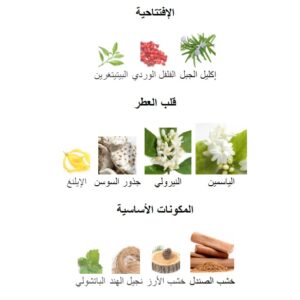 Reflexió Perfume - Image 5