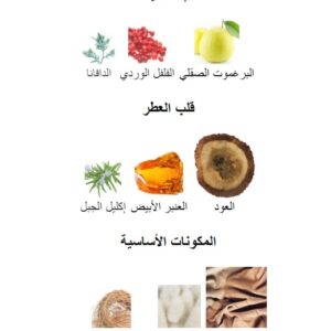 Leather Land Perfume - Image 5