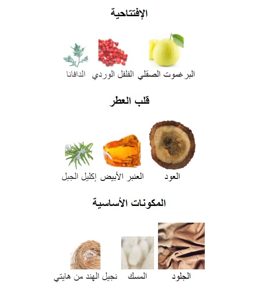 Leather Land Perfume