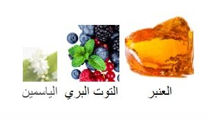 Night Amber Berry Body Splash - Image 6