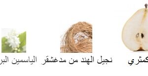 Madagascar Whisper Body Splash - Image 5