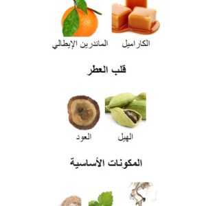 Enigmatica Perfume - Image 5