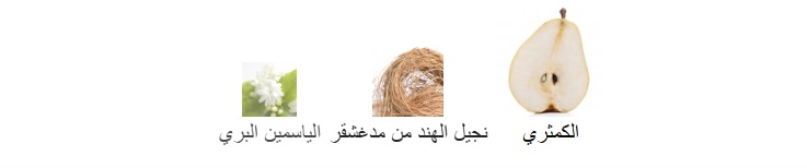 Madagascar Whisper Body Splash - Image 5