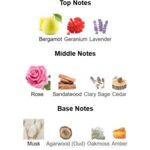 Sultan Body Spalshd - Image 3