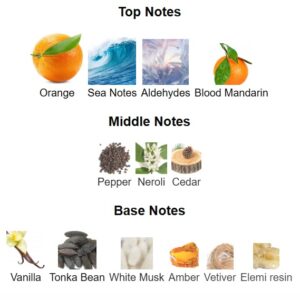 Game Body Splash - Image 4