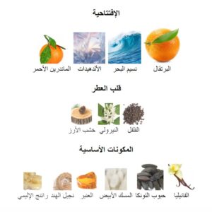 Game Body Splash - Image 6