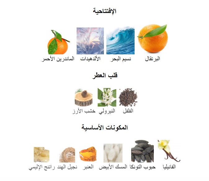 Game Body Splash - Image 6