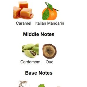 Enigmatica Perfume - Image 3