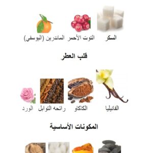 spiced coco Perfume - Image 5